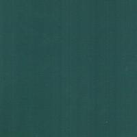 Шарли green (0,3 ) пленка FG166-15