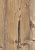 ЛДСП (Эггер) (2,80*2,07) 16 мм H1487 ST22 Пихта Брамберг